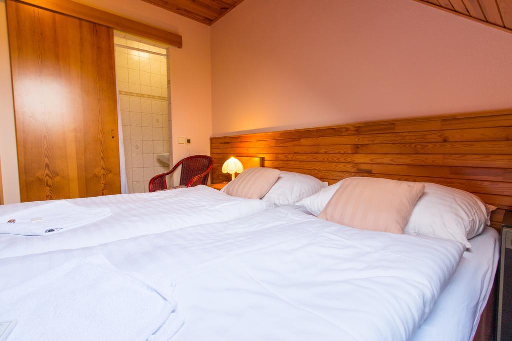 Orlik Rejviz Hotel Bilik gambar